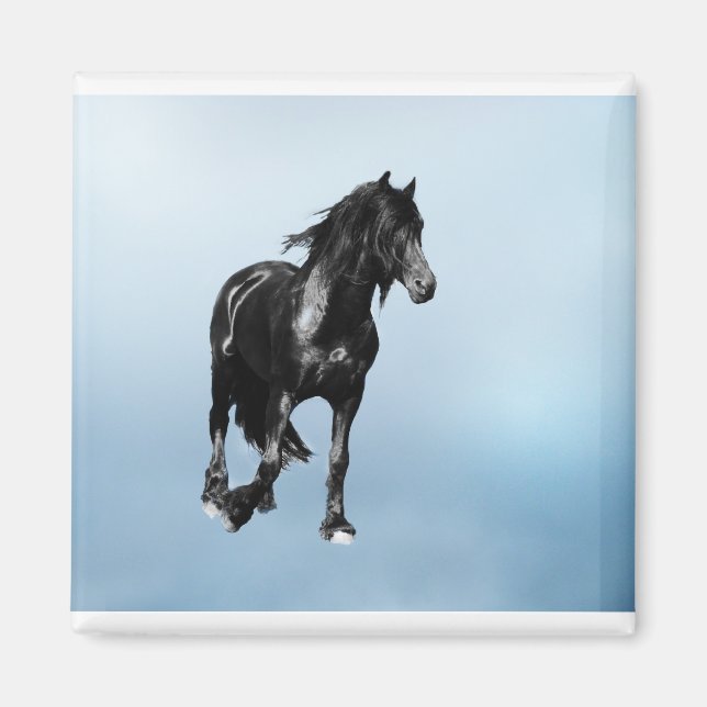 Íman Cavalo a virar subitamente (Frente)