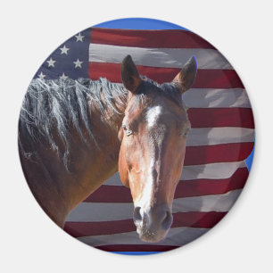 Íman Cavalo americano e bandeira de um quarto -