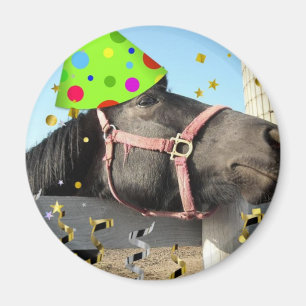 Íman Cavalo-animal de festa