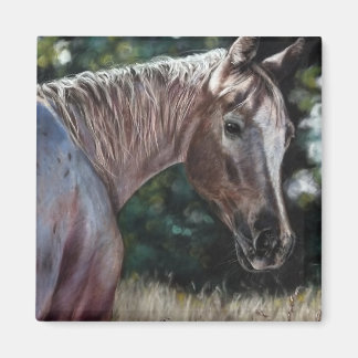 Íman Cavalo Appaloosa num campo