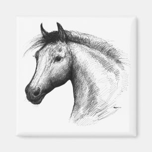 Íman Cavalo:Branca