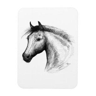 Íman Cavalo:Branca