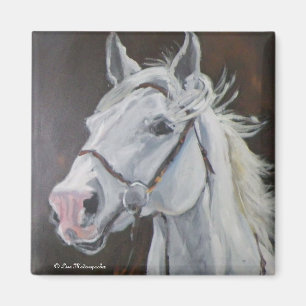 Íman Cavalo branco