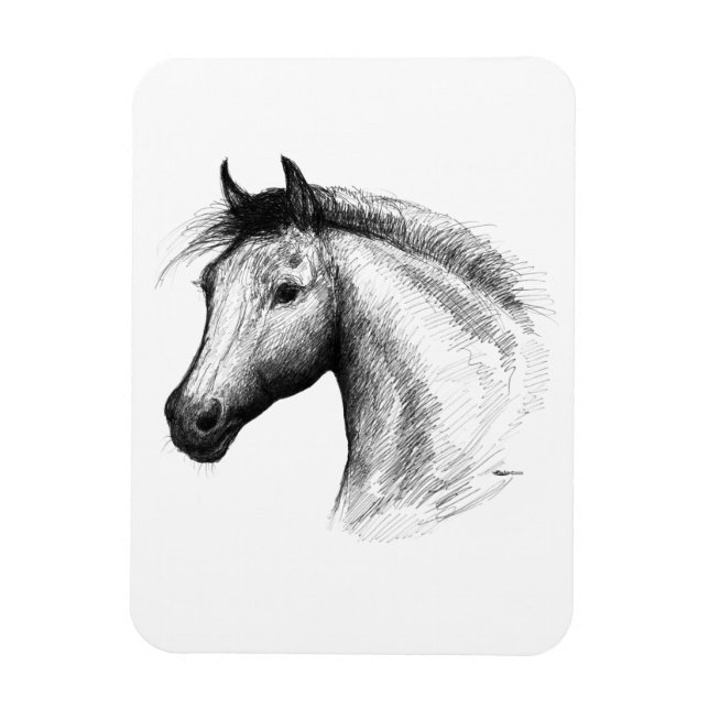 Íman Cavalo: Branco (Vertical)