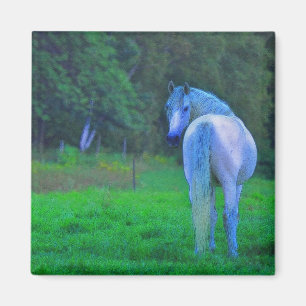 Íman Cavalo Branco em Presente de Arte Magnética à Lua