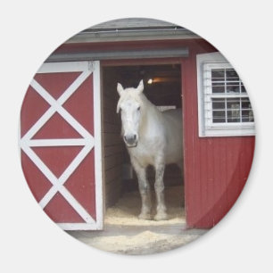 Íman Cavalo branco no celeiro vermelho