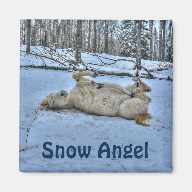 Íman Cavalo Branco Rolando na neve do inverno (Frente)