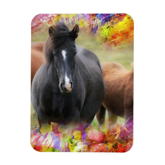 Íman Cavalo Colorido (Vertical)