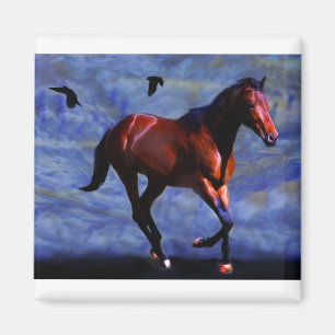 Íman Cavalo crepuscular