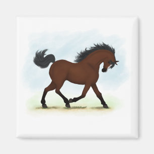 Íman Cavalo De Baía Com Blaze