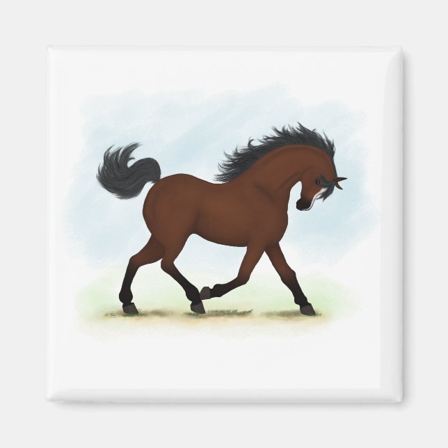 Íman Cavalo De Baía Com Blaze (Frente)