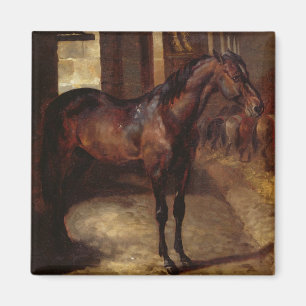 Íman Cavalo de baía escuro no estábulo
