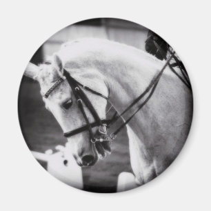 Íman Cavalo de Dresagem Preto e Branco