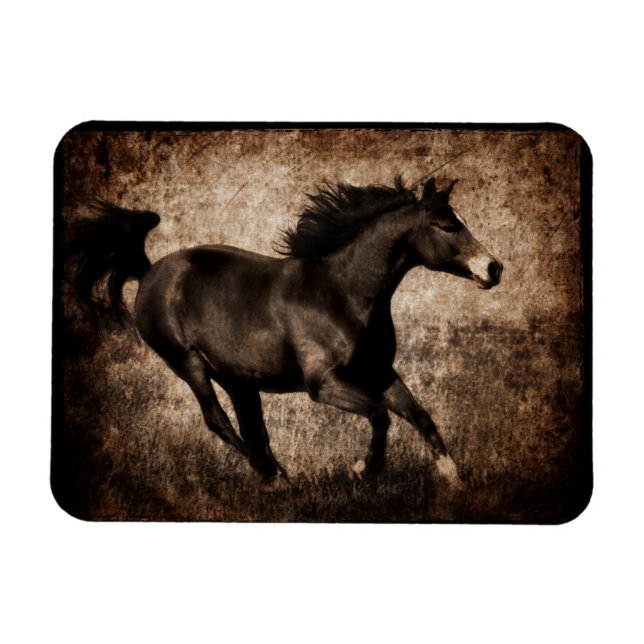 Íman Cavalo de Galopagem Russo Sepia (Horizontal)