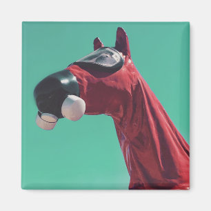 Íman cavalo de guerra frio