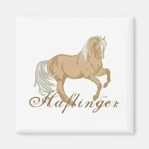Íman Cavalo de Haflinger