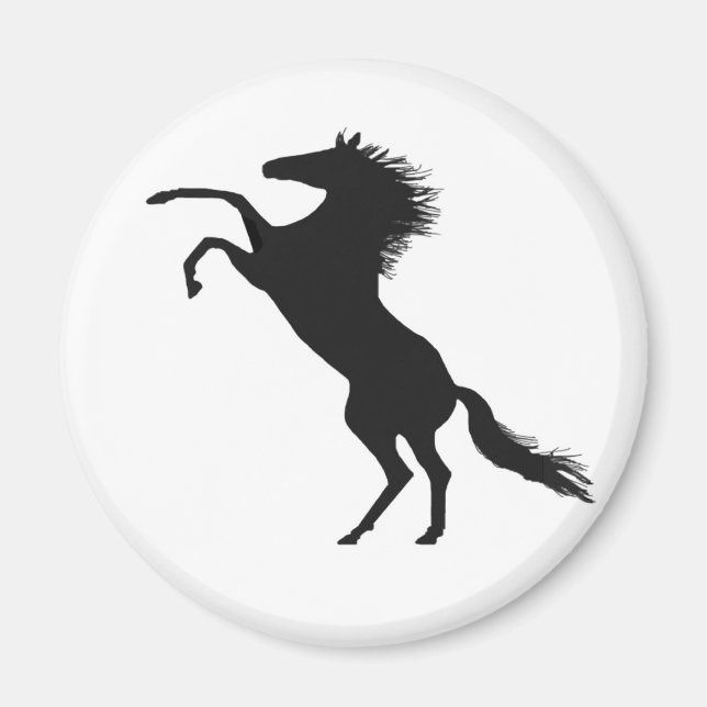 Íman Cavalo-de-ouro (Frente)