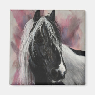 Íman Cavalo de Vanner cigano a rosa