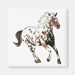 Íman Cavalo do Appaloosa