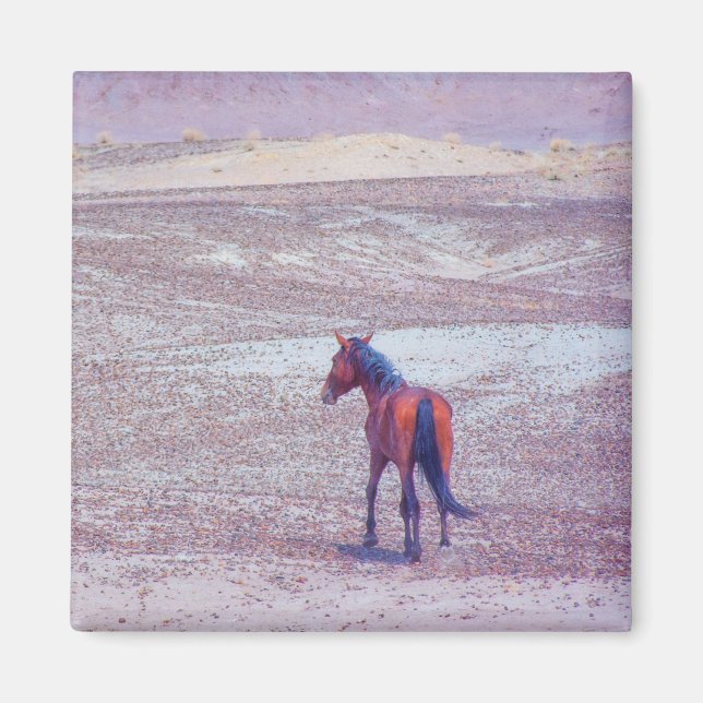 Íman Cavalo do Deserto P8640 (Frente)