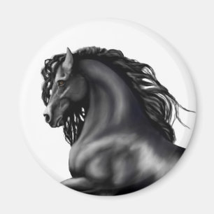 Íman Cavalo do garanhão do frisão