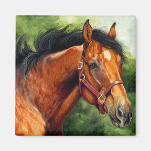 Íman Cavalo do puro-sangue