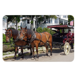 Íman Cavalo e Carruagem na Ilha Mackinac MI