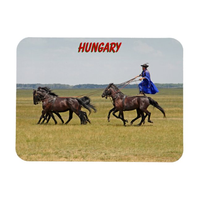 Íman Cavalo e cavalos da Hungria (Horizontal)
