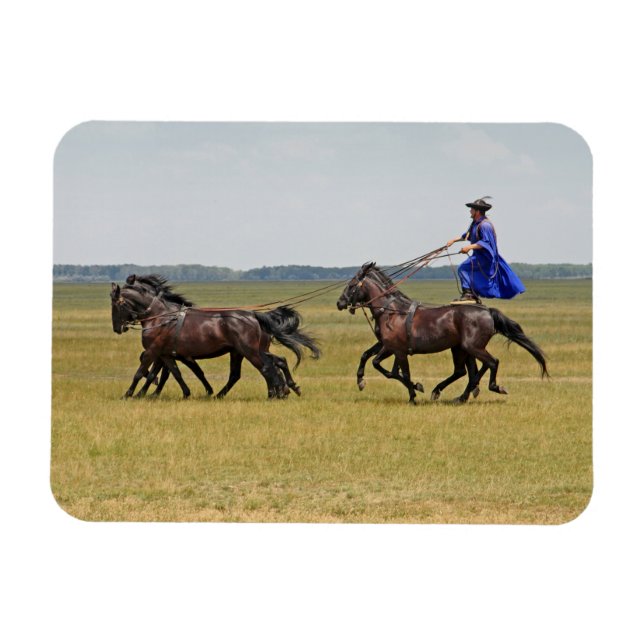 Íman Cavalo e cavalos da Hungria (Horizontal)