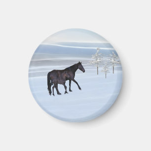 Íman Cavalo e potro na neve