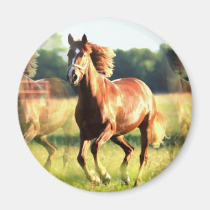 Íman Cavalo em Execução