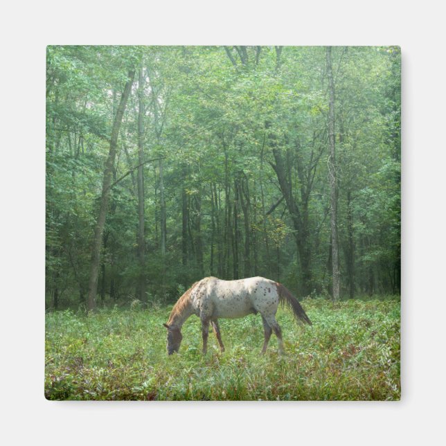 Íman Cavalo em Meadow (Frente)