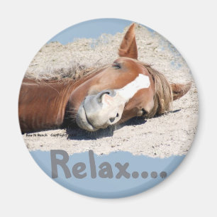 Íman Cavalo engraçado: Relaxe