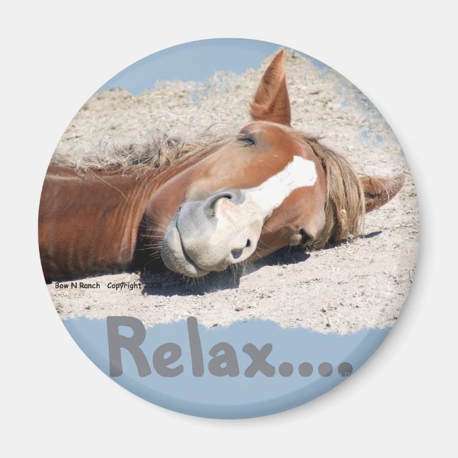 Íman Cavalo Engraçado: Relaxe (Frente)
