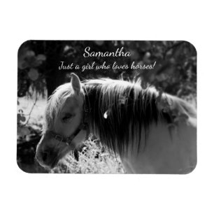 Íman Cavalo Fjord Norueguês em Preto e Branco