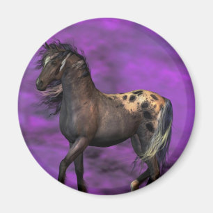 Íman Cavalo indiano