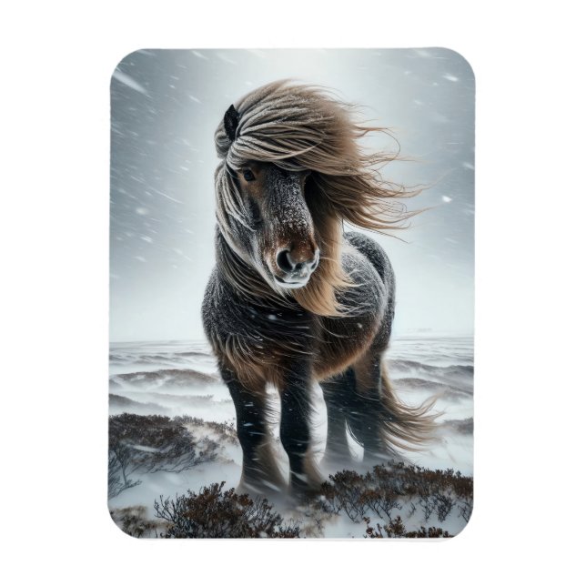 Íman Cavalo Islandês em seu Elemento Ímã (Vertical)