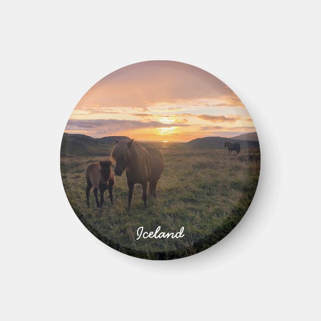 Íman Cavalo islandês - ímã paisagístico (Frente)