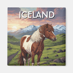 Íman Cavalo islandês na Islândia Viagem