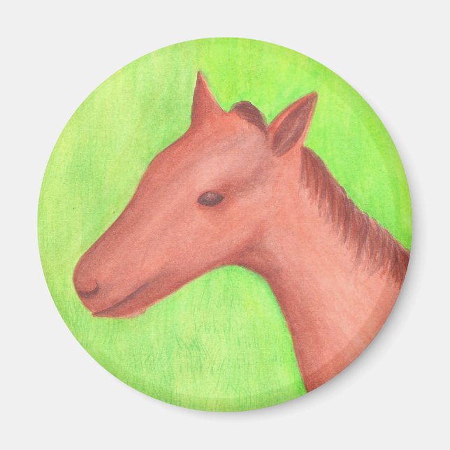 Íman Cavalo jovem, pônei, com alface aquática (Frente)