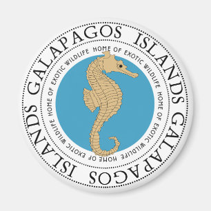 Íman Cavalo marinho