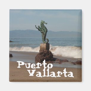 Íman Cavalo-marinho fora da água; México Souvenir