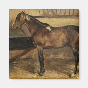 Íman Cavalo marrom em estábulos estáveis