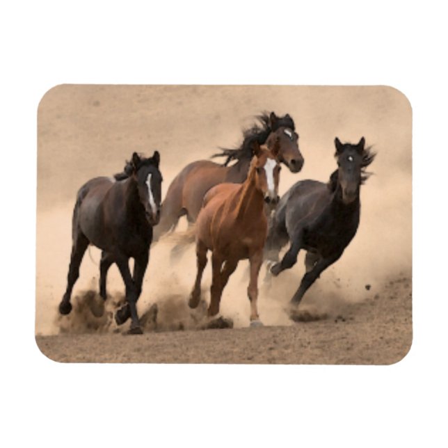 Íman Cavalo na Queda II (Horizontal)