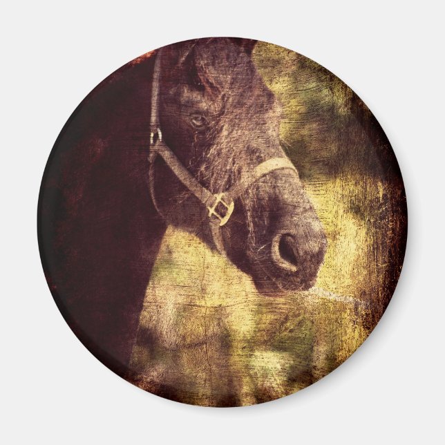 Íman Cavalo Negro (Frente)