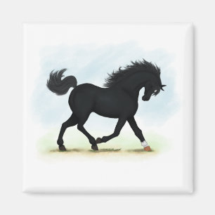 Íman Cavalo Negro com Estrela e Meia (Beleza Negra)