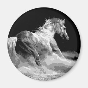 Íman Cavalo Negro e Branco em Ação