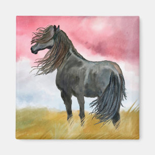 Íman Cavalo Negro no Imã do Campo