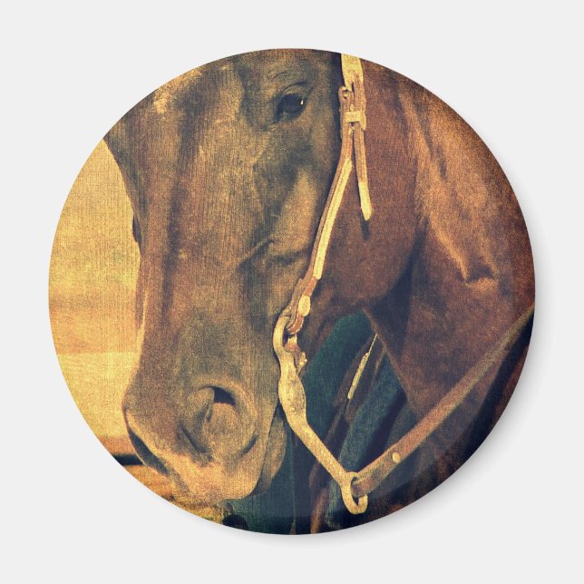 Íman Cavalo Ocidental (Frente)