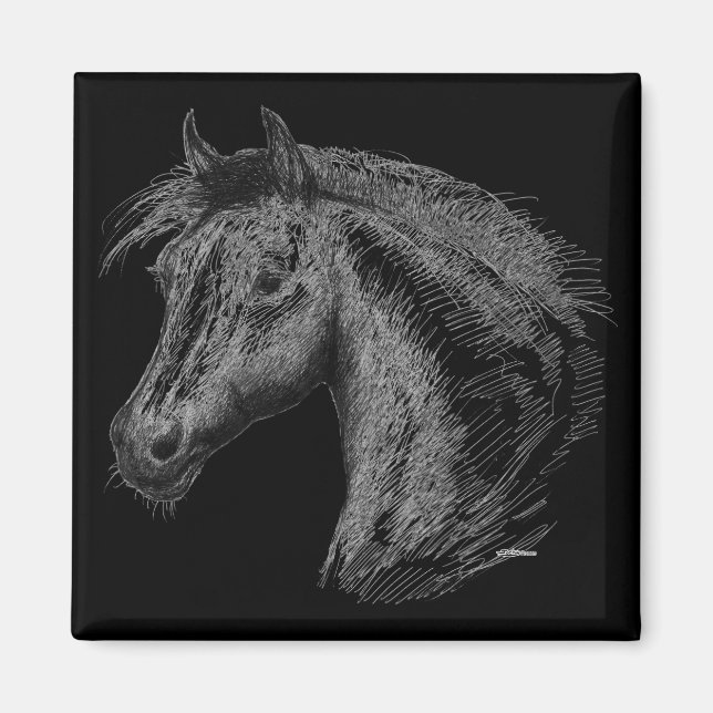 Íman Cavalo: Preto (Frente)